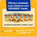 racao-para-cachorro-adulto-pedigree-nutri-essencial-carne-101-kg-6.jpg