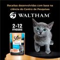 racao-umida-sheba-sache-cortes-selecionados-sabor-atum-marinado-para-gatos-filhotes-85-g-8.jpg