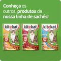 racao-umida-kitekat-sache-peixe-ao-molho-para-gatos-adultos-70-g-6.jpg