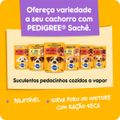 racao-para-caes-adultos-pedigree-nutricao-essencial-ao-leite-101kg-7.jpg