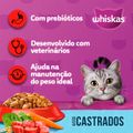 racao-whiskas-sabor-carne-para-gatos-adultos-castrados-com-900-g-3.jpg