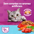 racao-whiskas-sabor-carne-para-gatos-adultos-castrados-com-900-g-4.jpg