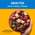 racao-pedigree-dry-adulto-sabor-carne-frango-e-vegetais-900-g-4.jpg