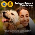 racao-pedigree-dry-adulto-sabor-carne-frango-e-vegetais-900-g-10.jpg