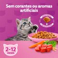 racao-whiskas-sabor-carne-e-leite-para-gatos-filhotes-com-27-kg-4.jpg