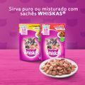 racao-whiskas-sabor-carne-e-leite-para-gatos-filhotes-com-27-kg-7.jpg