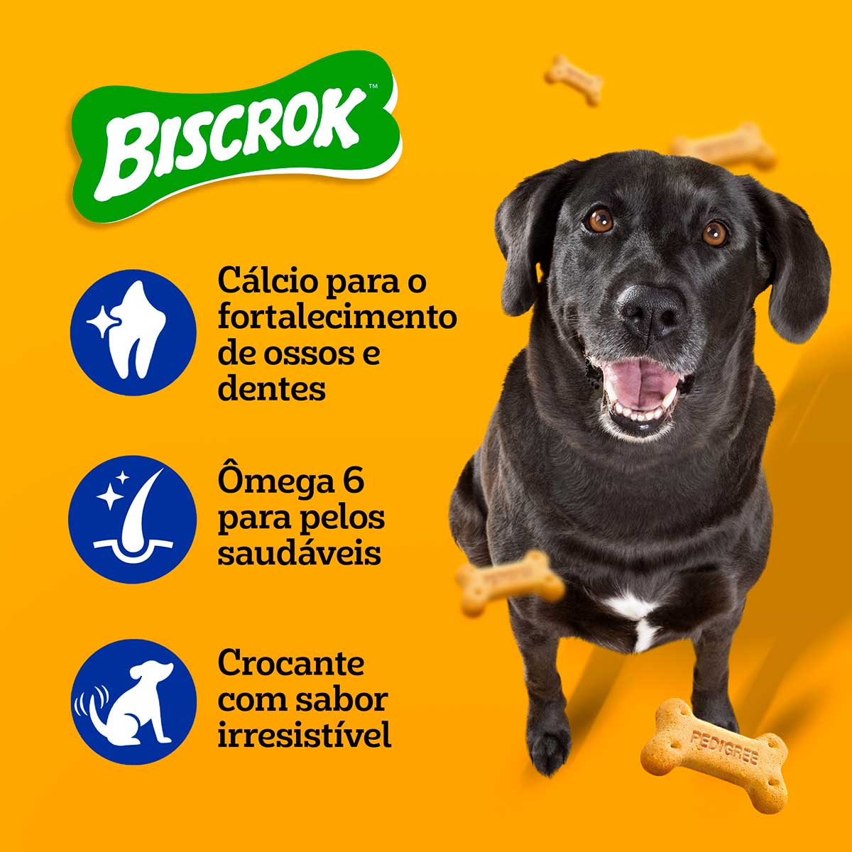 biscoito-pedigree-biscrok-para-caes-adultos-racas-grandes-1-kg-4.jpg