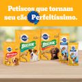 biscoito-pedigree-biscrok-para-caes-adultos-racas-grandes-1-kg-9.jpg