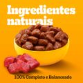 racao-umida-pedigree-sache-carne-ao-molho-para-caes-adultos-de-racas-pequenas-100-g-6.jpg