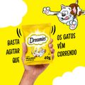 petisco-dreamies-frango-para-gatos-adultos-40-g-6.jpg