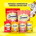 petisco-dreamies-carne-para-gatos-adultos-40-g-11.jpg