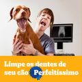 petisco-pedigree-dentastix-cuidado-oral-para-caes-adultos-racas-pequenas-3-sticks-11.jpg