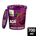 sorbet-de-acai-com-guarana-mae-terra-premium-700ml-4.jpg