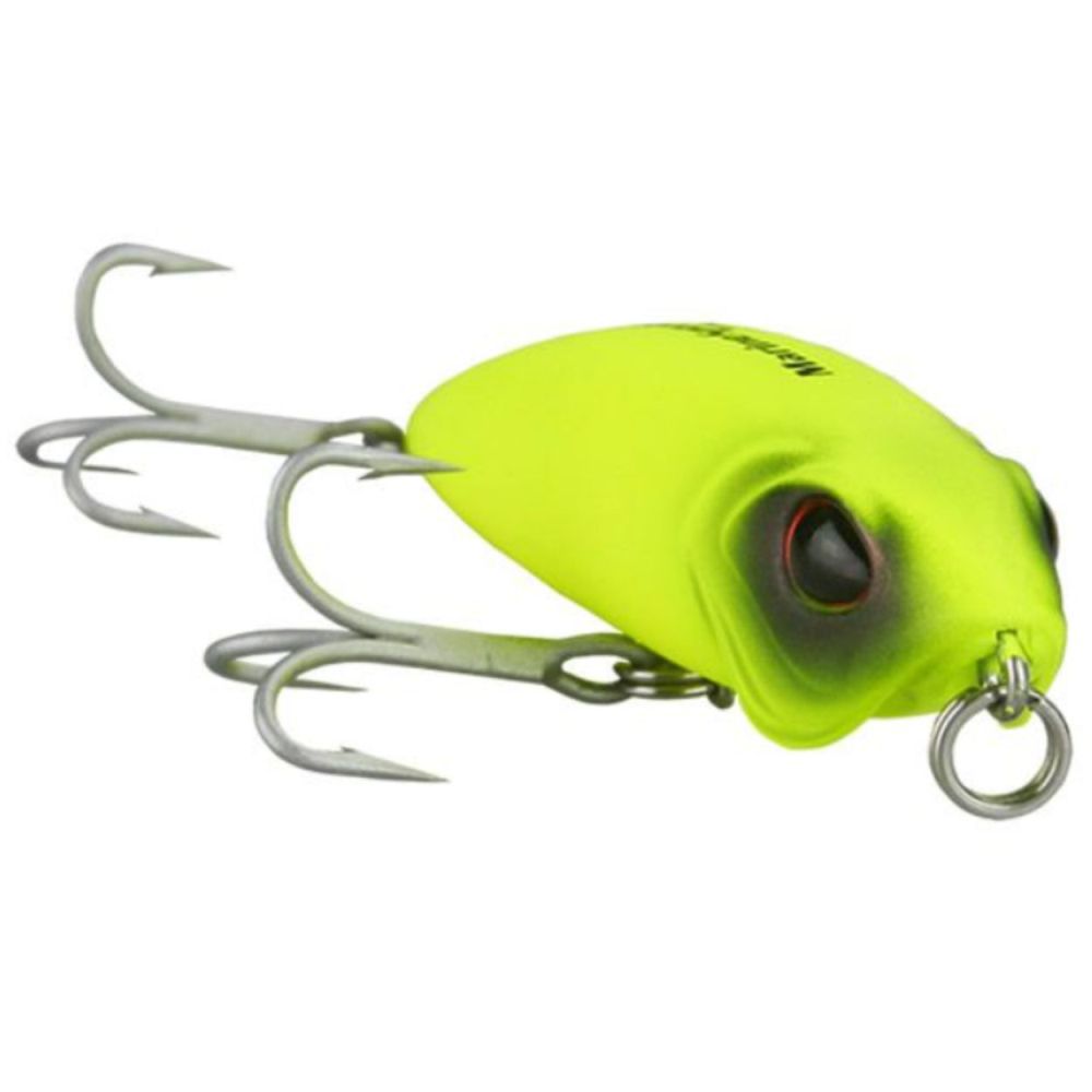SNAKE COR 24