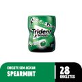 chiclete-trident-xsenses-spearmint-sem-acucar-garrafa-54g-2.jpg