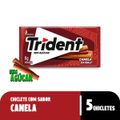 chiclete-trident-canela-sem-acucar-8g-5-unidades-2.jpg