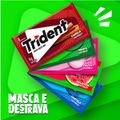 chiclete-trident-canela-sem-acucar-8g-5-unidades-5.jpg