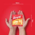 pudim-em-po-royal-baunilha-50g-4.jpg