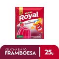 gelatina-em-po-royal-framboesa-25g-2.jpg