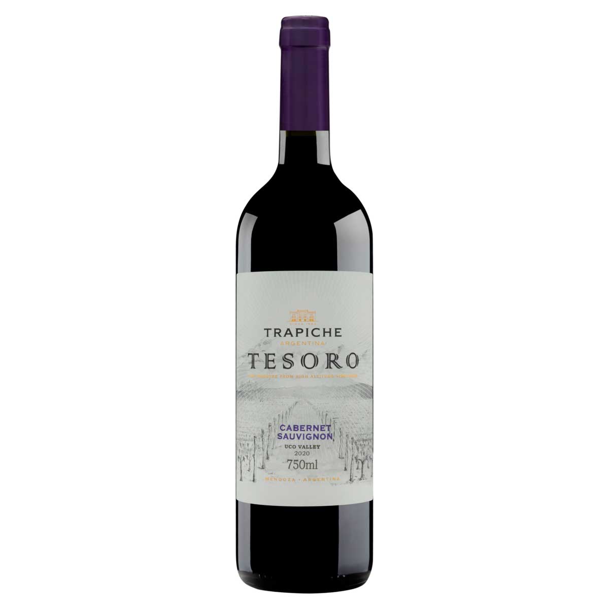 vho-tto-arg-trapich-tesoro-cab-sv-750ml-1.jpg