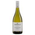 vinho-brasileiro-branco-seco-terroir-garibaldi-sauvignon-blanc-serra-gaucha-garrafa-750ml-1.jpg