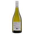 vinho-brasileiro-branco-seco-terroir-garibaldi-sauvignon-blanc-serra-gaucha-garrafa-750ml-2.jpg