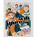 livro-haikyu---furudate-haruichi-volume-03-1.jpg