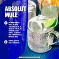 vodka-absolut---750-ml-6.jpg