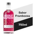 vodka-absolut-raspberri---750ml-2.jpg