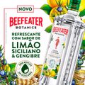 beefeater-botanics-limao-e-gengibre---750-ml-3.jpg