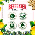 beefeater-botanics-limao-e-gengibre---750-ml-4.jpg