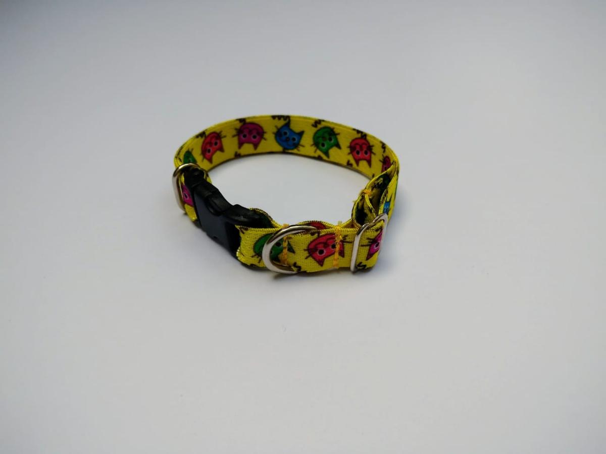 Amarelo/Gato Colorido