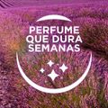 desodorizador-glade-gel-pequenos-ambientes-lavanda-70-g-5.jpg