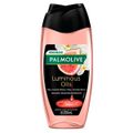 sabonete-liquido-para-o-corpo-palmolive-luminous-oils-sensacao-refrescante-250ml-1.jpg