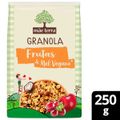 granola-de-cereais-integrais-sementes-chia-linhaca-e-gergelim-frutas-mel-vegano-melado-de-cana-mae-terra-250g-2.jpg