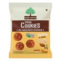 biscoito-vegano-37--integral-organico-banana---cacau-com-cereais-chia-e-linhaca-mae-terra-mini-cookies-120g-1.jpg