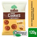 biscoito-vegano-37--integral-organico-banana---cacau-com-cereais-chia-e-linhaca-mae-terra-mini-cookies-120g-2.jpg