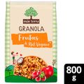 granola-de-cereais-integrais-sementes-chia-linhaca-e-gergelim-frutas-mel-vegano-melado-de-cana-mae-terra-800g-2.jpg