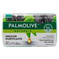 sabonete-em-barra-palmolive-naturals-sensacao-purificante-85g-1.jpg