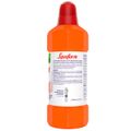 desinfetante-lysoform-bruto-original-500-ml-2.jpg