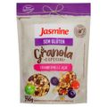 granola-vegana-com-cranberry-e-acai-jasmine-250g-1.jpg