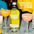 vodka-absolut-citron-750-ml-4.jpg