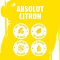 vodka-absolut-citron-750-ml-5.jpg