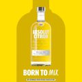 vodka-absolut-citron-750-ml-7.jpg