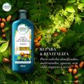 condicionador-herbal-essences-bio-renew-oleo-de-argan-400ml-4.jpg