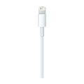 cabo-lighting-para-iphone-5-e-ipad-wi256-branco-multilaser-3.jpg