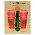 sh-250ml-cond-250ml-phytoervas-for-total-1.jpg