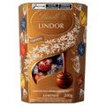 caixa-de-bombons-chocolate-lindt-lindor-sortidos-200g-com-16-unidades-1.jpg