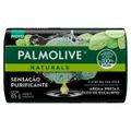 sab-barr-palmolive-argi-oleo-eucalip-85g-1.jpg