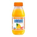 suco-laranja-xando-300ml-1.jpg